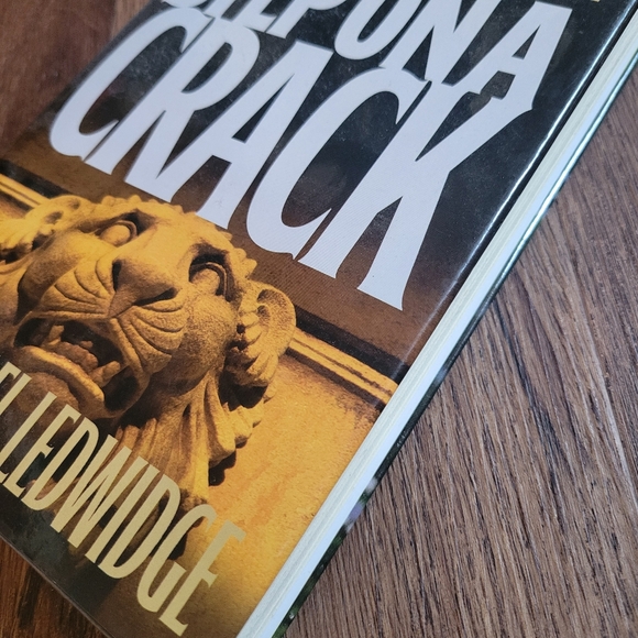 💚💚3 Listings for $15💚💚 James Patterson 3 book bundle large print hardcover - Picture 3 of 12